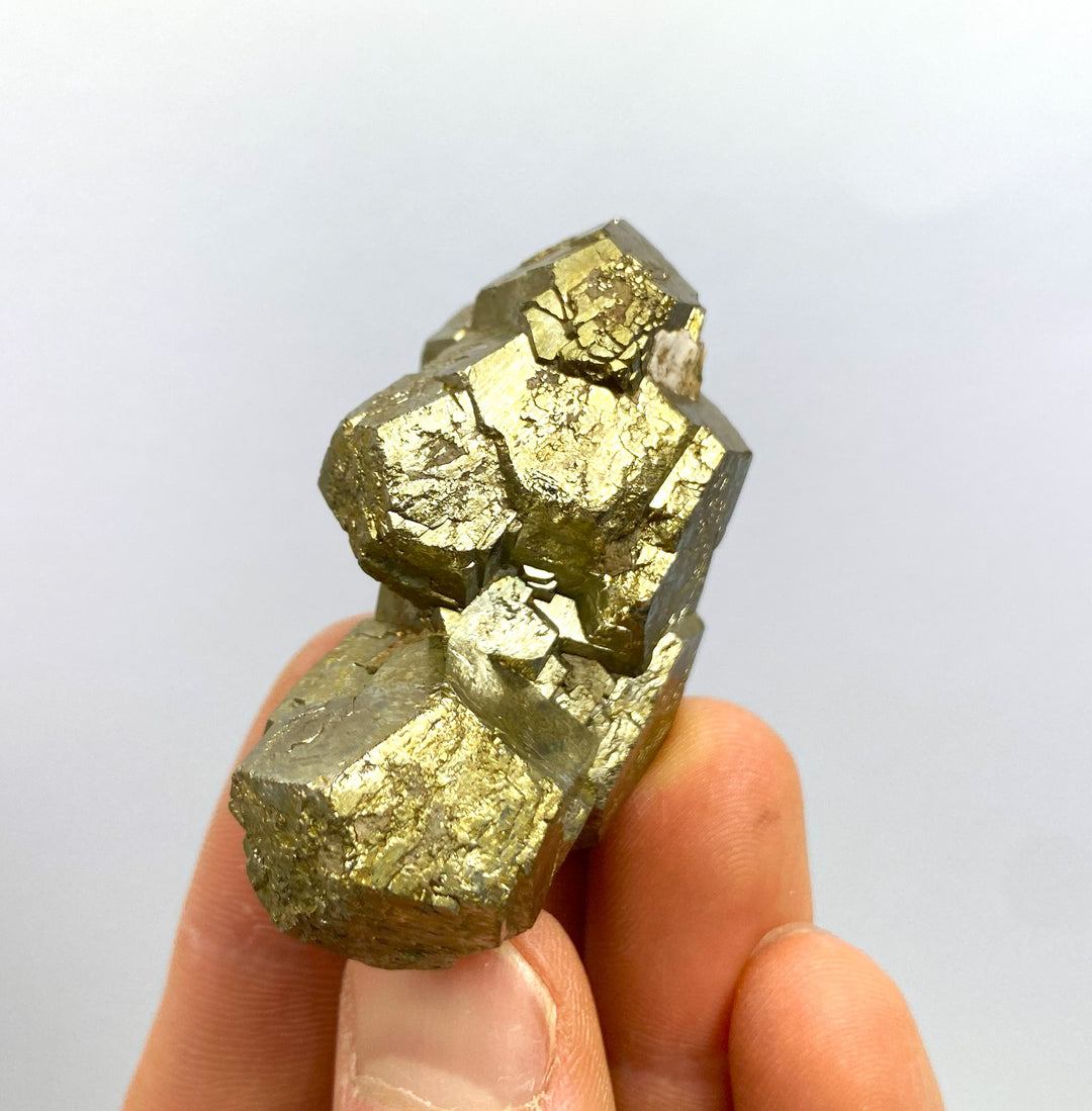 Pyrite, Boccheggiano, Montieri, Grosseto, Tuscany, Italy