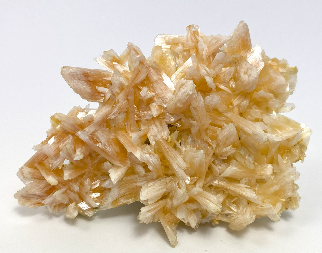 Selenite (gypsum) float, Cavnic, Maramures, Romania