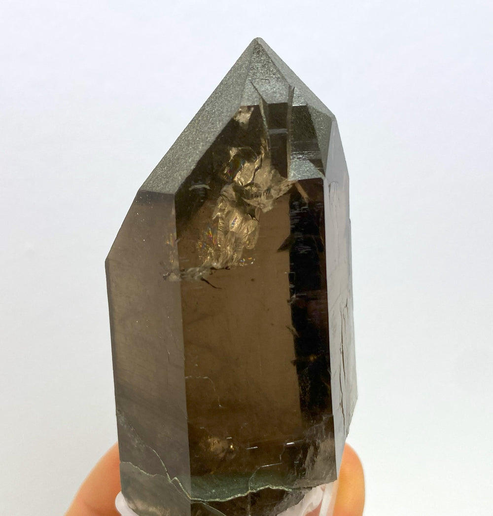 Smoky quartz, chlorite, Galmihorn, Valais, Switzerland