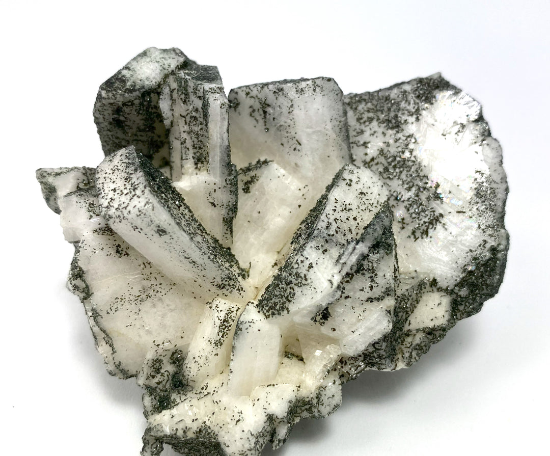 Pericline, chlorite, Gr. Finagl, Untersulzbachtal, Salzburg, Austria