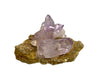 Amethyst, Las Vigas, Veracruz, Mexiko