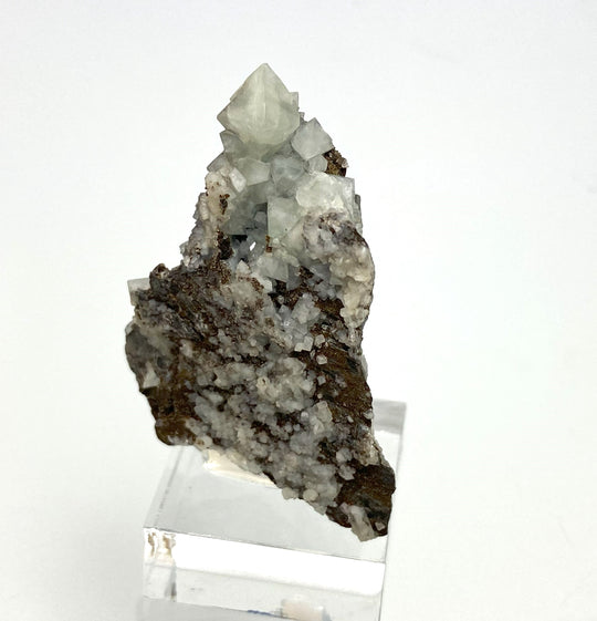 Wardite, Stone Man, Rapid Creek, Canada