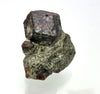 Almandine (garnet), Hornkees, Zillertal Alps, Tyrol, Austria