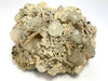 Dolomite, Calcopyrite, Calcite, Cavnic, Maramures, Romania