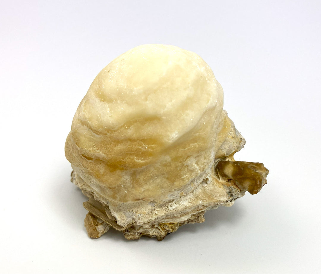 Aragonite, Erzberg, Styria, Austria