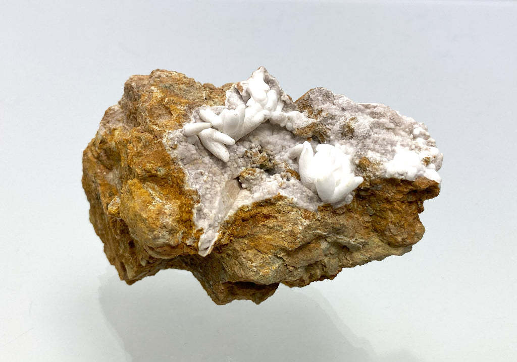 Iron blossom (aragonite), Meiselding, Sankt Veit an der Glan, Carinthia, Austria