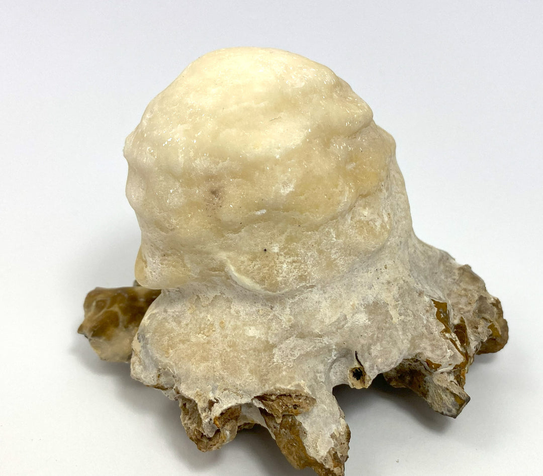 Aragonite, Erzberg, Styria, Austria