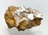 Iron blossom (aragonite), Meiselding, Sankt Veit an der Glan, Carinthia, Austria