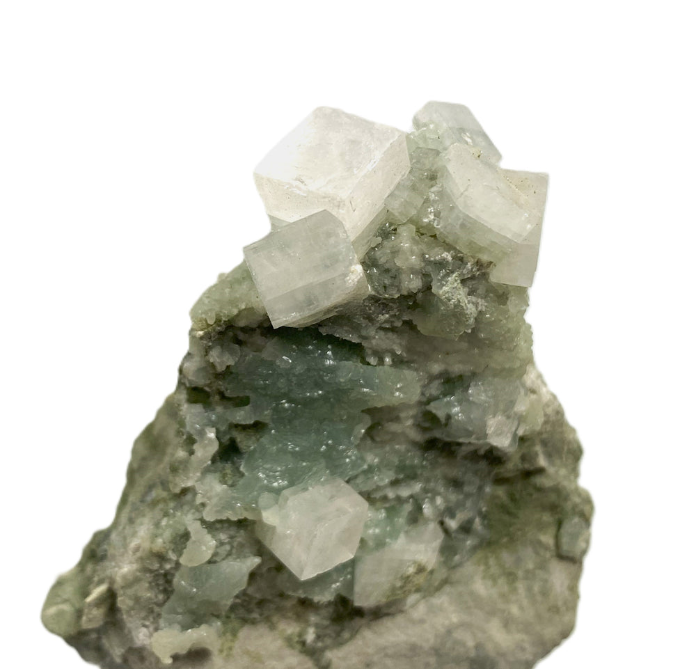 Apophyllite on prehnite, Millington Quarry, Bernards Township, Somerset County, New Jersey, USA