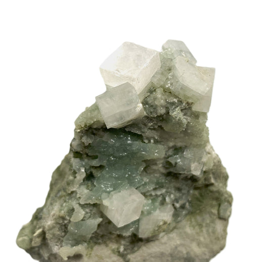 Apophyllit auf Prehnit, Millington Quarry, Bernards Township, Somerset County, New Jersey, USA