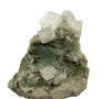 Apophyllite on prehnite, Millington Quarry, Bernards Township, Somerset County, New Jersey, USA