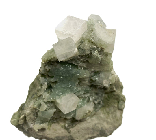 Apophyllit auf Prehnit, Millington Quarry, Bernards Township, Somerset County, New Jersey, USA