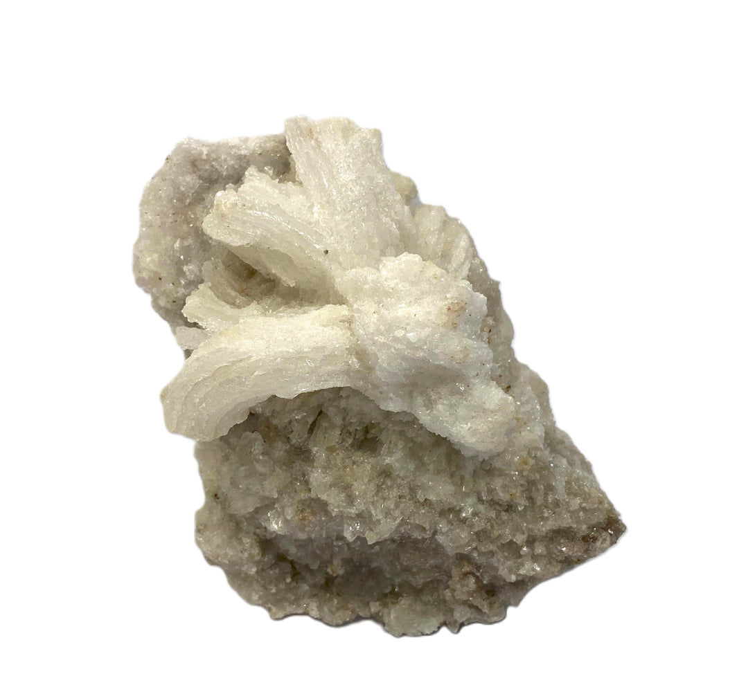 Gypsum lock (selenite), Bou Bekr, Touissit, Morocco