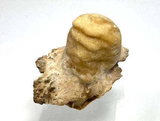 Aragonite, Erzberg, Styria, Austria