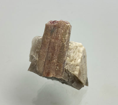 Elbait (Rubellit), Varuträsk, Schweden