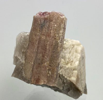 Elbait (Rubellit), Varuträsk, Schweden
