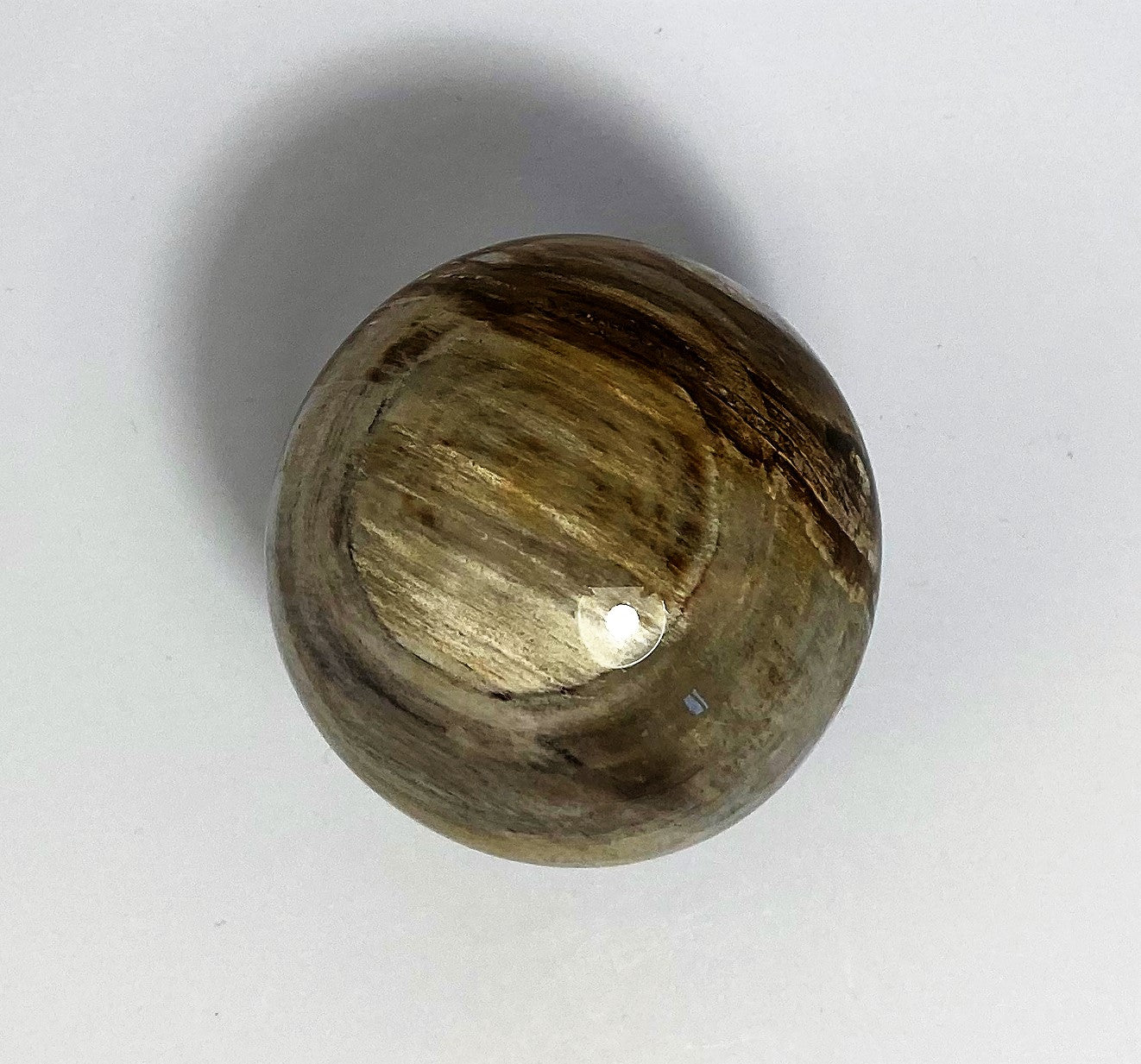 Steinkugel Fossiles Holz 