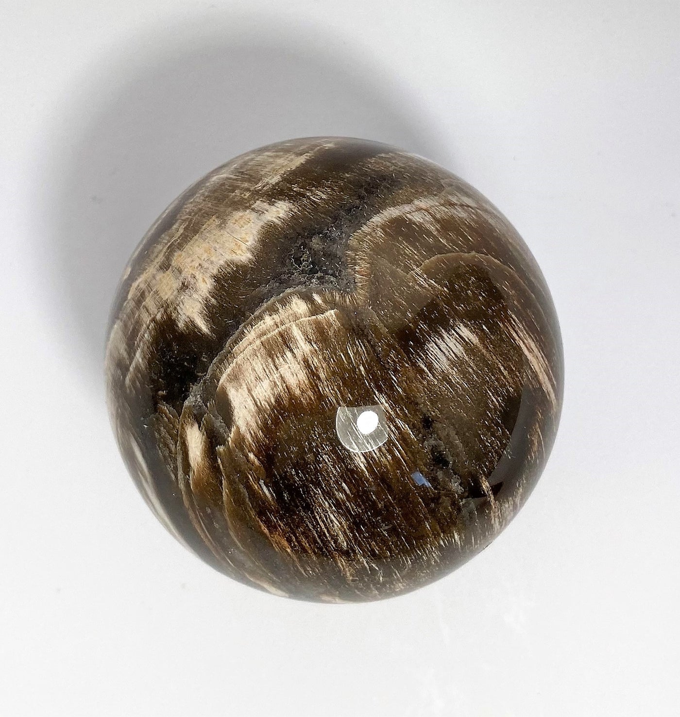 Steinkugel Fossiles Holz 