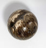 Steinkugel Fossiles Holz 