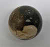 Stone sphere Aactaeonella (Fossil snail)