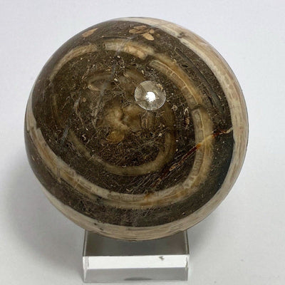 Stone ball Aktionella