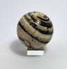 Stone ball Aactaeonella