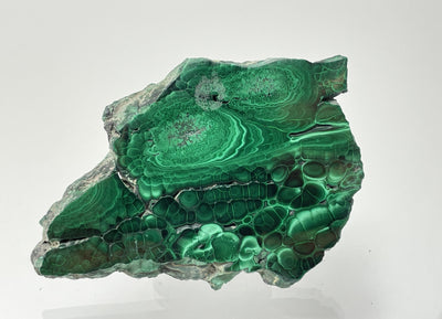 Malachite bevel, Shaba, Congo