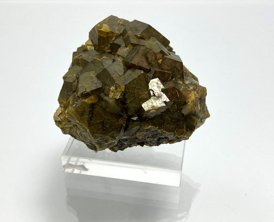 Andradite (Garnet), Stanley Butte Area, Graham Co Arizona, USA