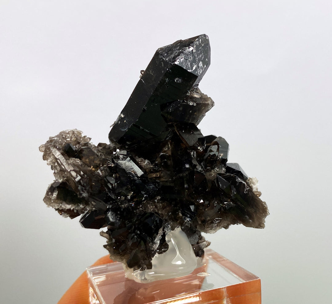 Morion (irradiated), Mount Ida, Montgomery Co., Arkansas, USA