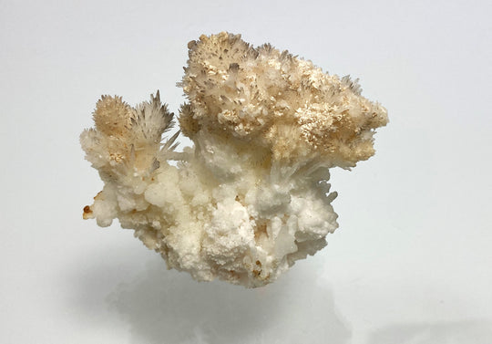 Iron blossom (aragonite), Bermessilo, Torreon, Mexico