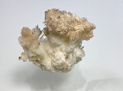 Eisenblüte (Aragonit), Bermessilo, Torreon, Mexiko