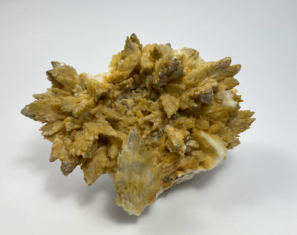 Feather calcite, gypsum, Oberzeiring, Styria, Austria