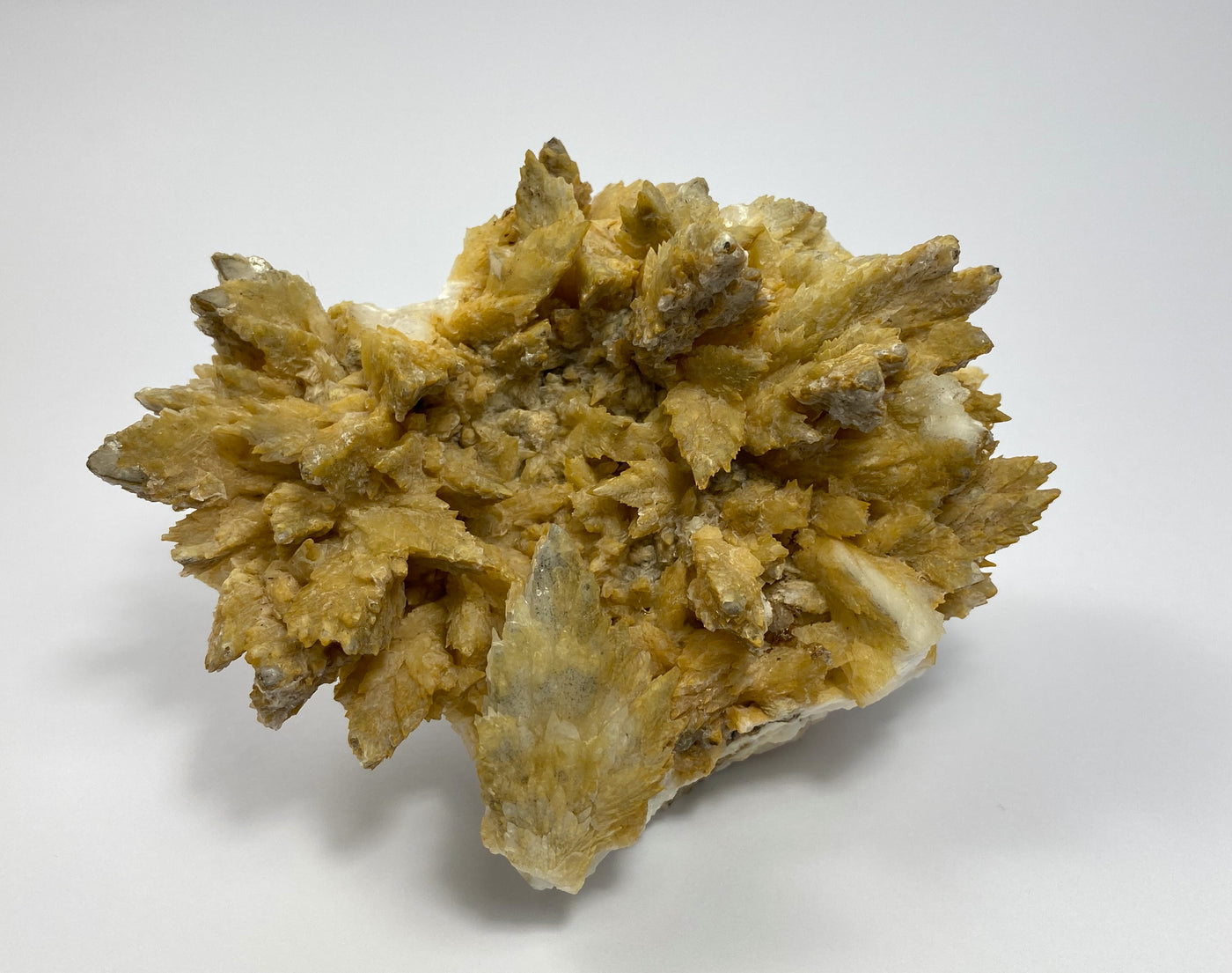 Feather calcite, gypsum, Oberzeiring, Styria, Austria
