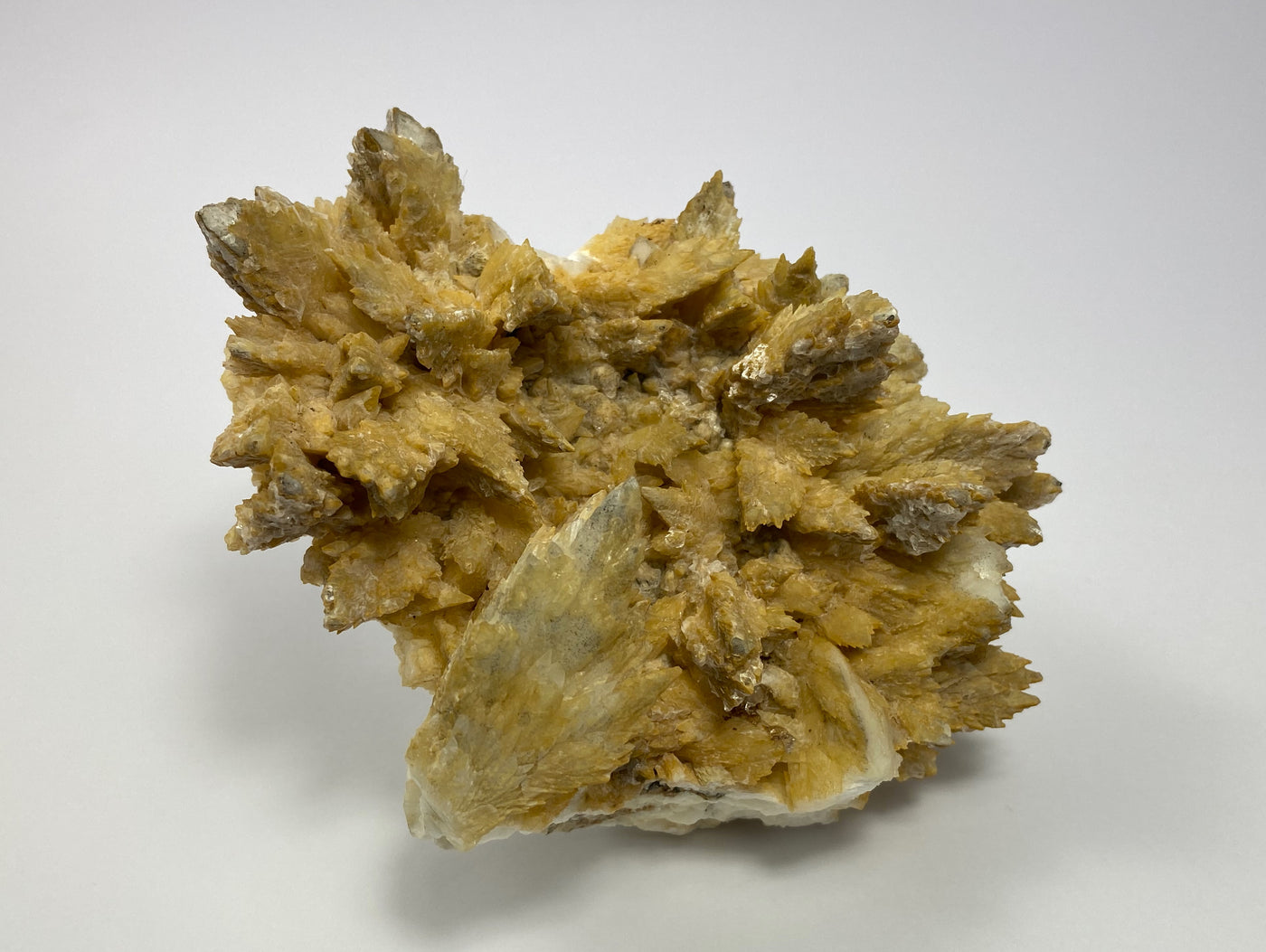 Feather calcite, gypsum, Oberzeiring, Styria, Austria