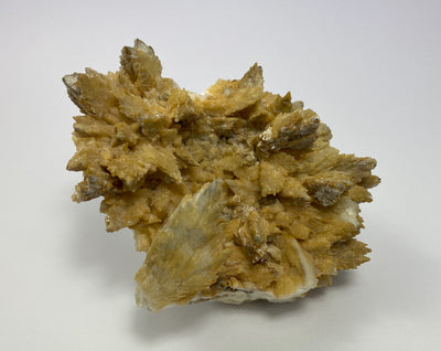 Feather calcite, gypsum, Oberzeiring, Styria, Austria