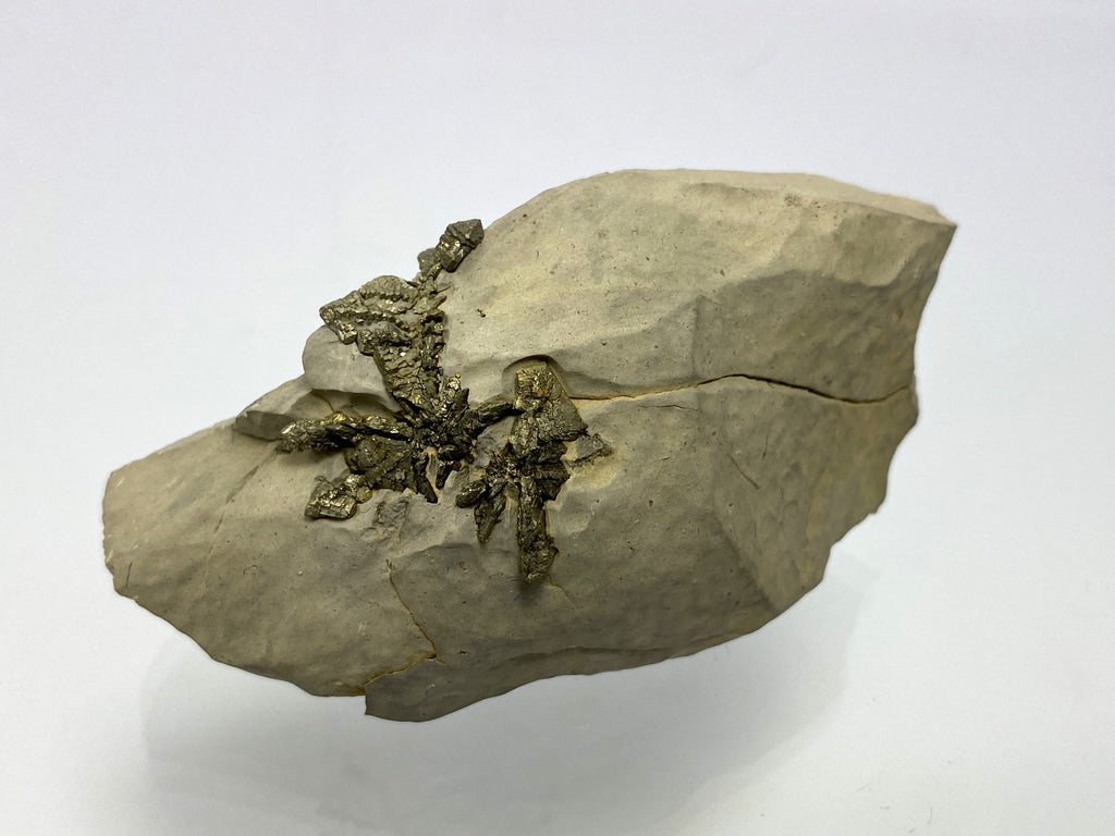 Markasit, Flamboro Quarry, West Flamborough Township, Hamilton, Ontario, Canada