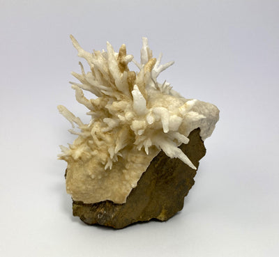 Eisenblüte (flos ferri),  Österreich