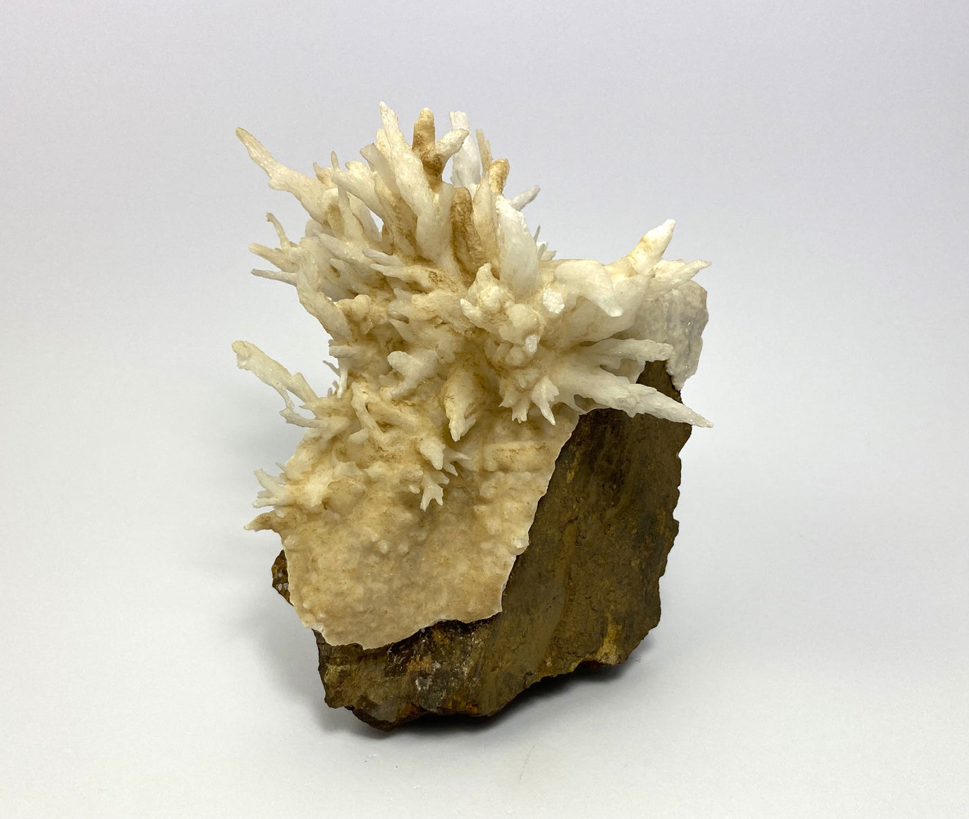 Eisenblüte (flos ferri),  Österreich