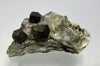 Almandin, (Granat) Donnersbachwald, Österreich